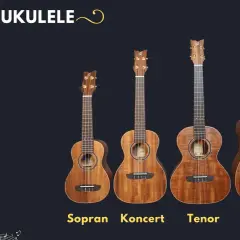 Cztery ukulele: sopranowe, koncertowe, tenorowe i barytonowe. Zastanawiasz się, jakie ukulele kupić na początek?