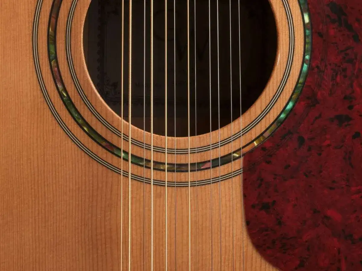 Zbliżenie na gitarę 12 strunową z ozdobnym rozetą i czerwonym pickguardem.